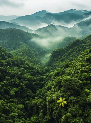 Eco-Tourism
