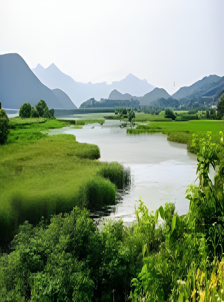 Protected Areas & Wetlands